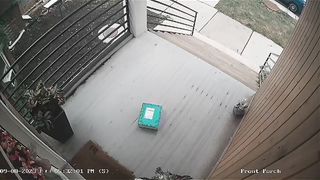 Funny | Pizza in the Planter Mystery | FunFM