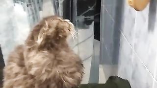 после купания 2