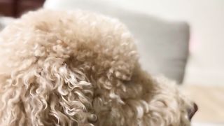 Funny | Can't Look Away | FunFM