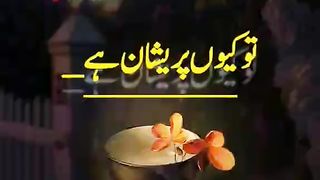 islamc video like my  page pllzss