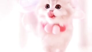 Cuttest cat in the world