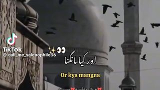 Video 240