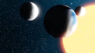 Fact video 2