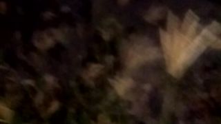 Animal lovers