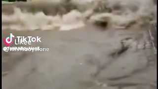 Best #Funny#Video