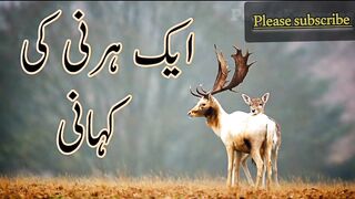 The beautiful Story of a deer making a solemn pact with Prophet Muhammad (PBUH)  by Saqib Iqbal Shami.