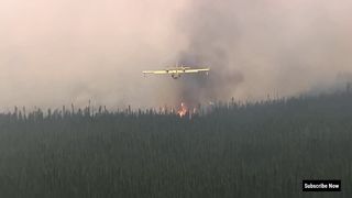 Canadair CL 415 Fire Fighting Aircraft Flying a Huge Fire Forest