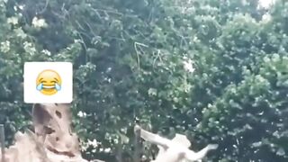 Fun clip 66