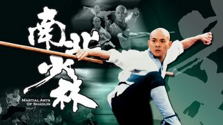 Shaolin Temple 3 1986  Full Movie English Subtitle.