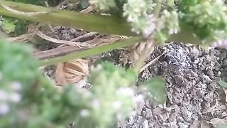 Animal lovers