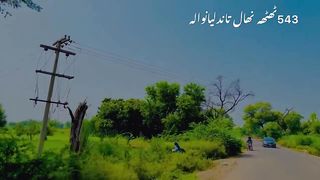 فیصل آباد کا سب سے پڑھا لکھا گاؤں ،543ٹھٹھہ نہال  most educated village of Faisalbad    ہ