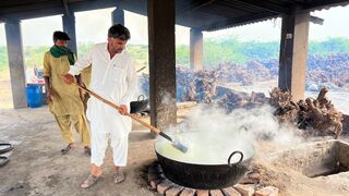 How To Make Organic Khoya or Mawa Of Desert Cow Milk