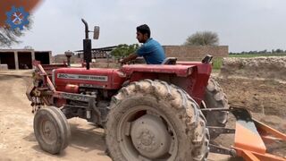 Tractor Massey Ferguson 260 Turbo - Amazing Power