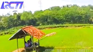 Iklan rcti jadul di sawah