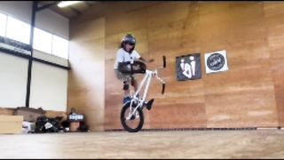 BMX freestyle involves performing tricks and stunts on ramps, 44