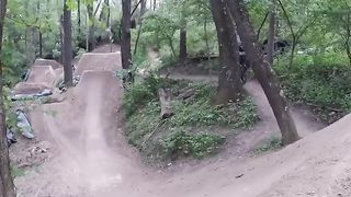 BMX freestyle involves performing tricks and stunts on ramps, 59