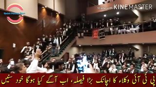 Sudden big decision of PTI lawyers, now hear for yourself what will happen next