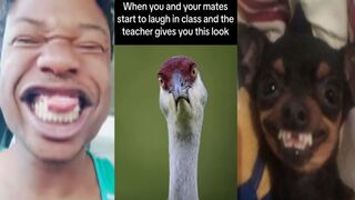 THE FUNNIEST MEMES Of September 2023 | Try Not To LAUGH ???? | #3
