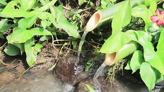 Relaxation Natural Sounds: calming water sounds, Natural Sound Brain Therapy, Sleep Relaxation