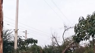 Amazing Video 13
