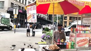 New York City  dog 1 dollar