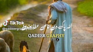 Poetry 355