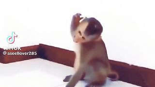 Funny video