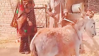 Latest video viral in Punjabi.  Quote video