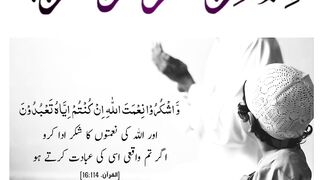 Quran , Al Quran Surah 16 Ayat 114 #viral #shorts #quran #youtubeshorts