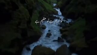 videos 83