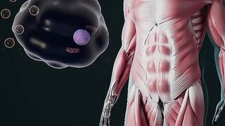 Scientists Discover A Hidden Root Cause Of Stubborn Belly Fat, And It Will Surprise You. Check description ????