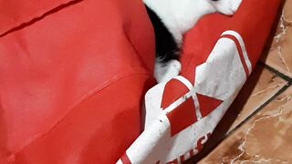 My sweet cat!
