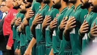 Cricket match highlights