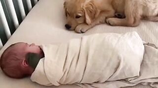 Funny dog and baby