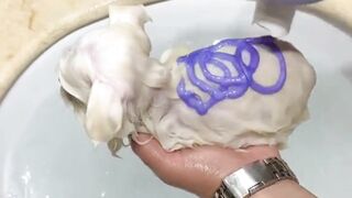 pet lovers