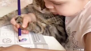 Funny baby and cat