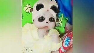 Video compilation my son
