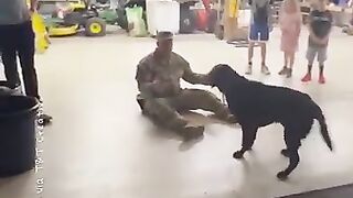 Amazing moment when dog meet his master