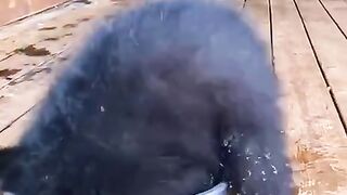 Умывания с раннего утра