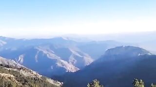 I love nature