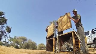 Animals Being FREED For The First Time!