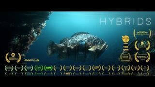 HYBRIDS - FILM