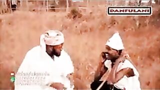 barkwaici 2