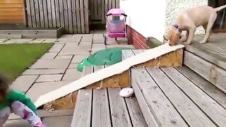 dog sliding in a strange way