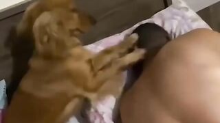 Cute Best Alarm Clock Ever! ⏰