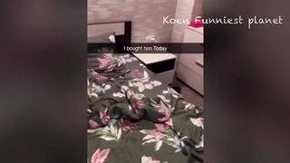 New Funny Animals Funniest Dogs And Cats Videos 2023????????