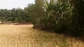 Animal lovers