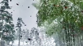 Relaxing nature????