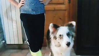Look at the dance of the girl and the dog.