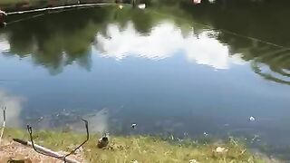 funny moment Big fish????????????